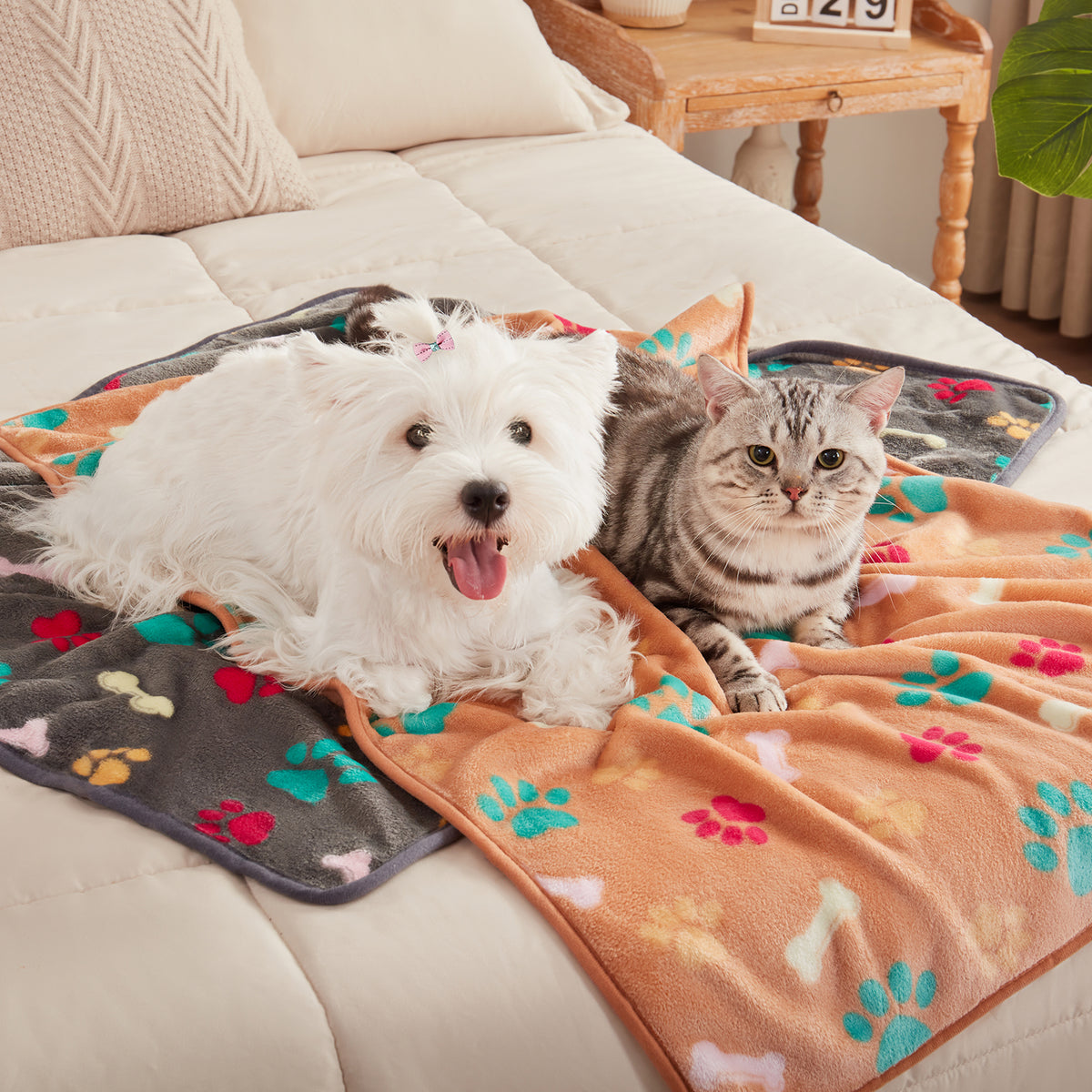 1-pack-4-small-soft-fluffy-fleece-pet-blanket-for-dogs-and-cats#color_four-bone