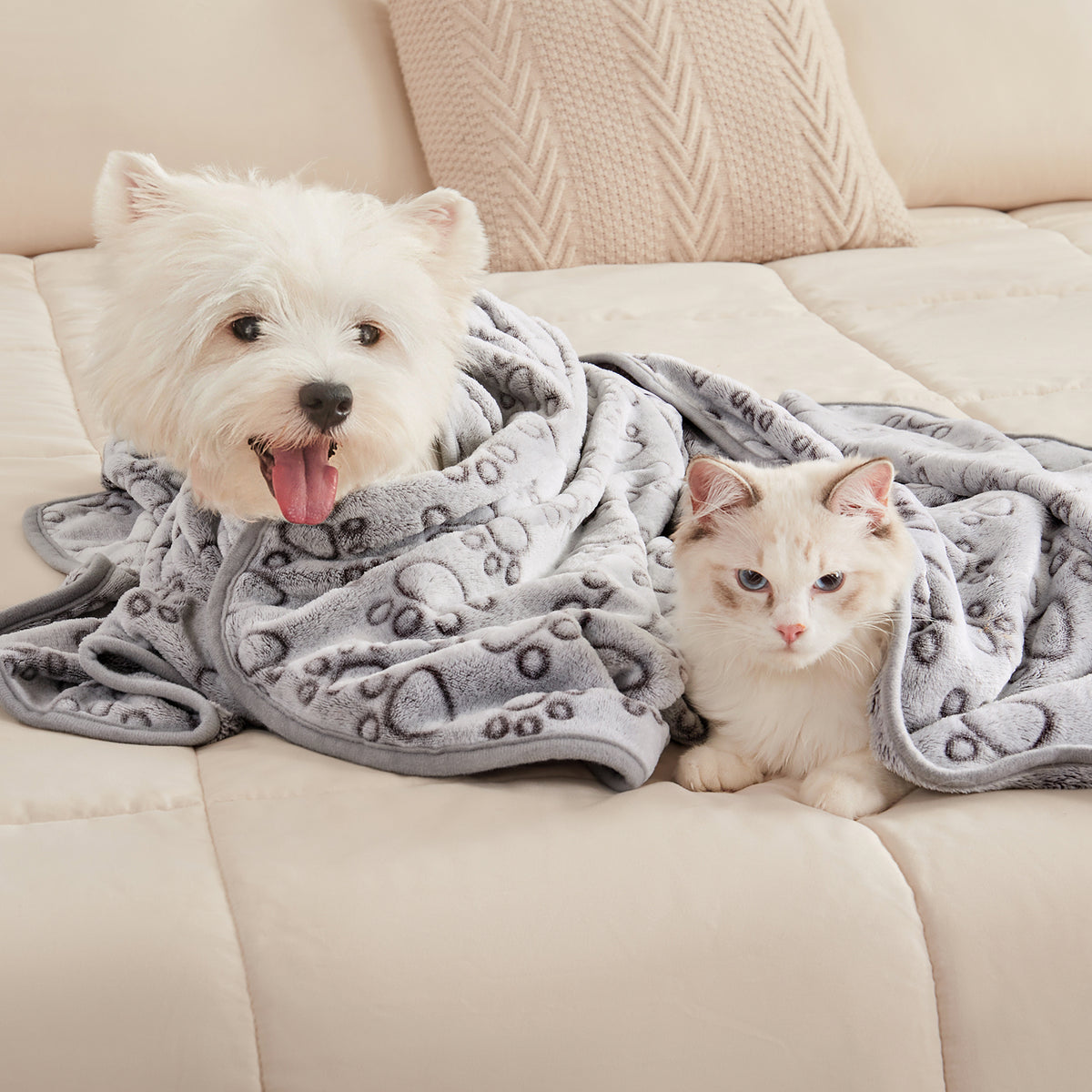 1 Pack 3 Small Pet Blanket Paw Printed Throw | Grey Paw
