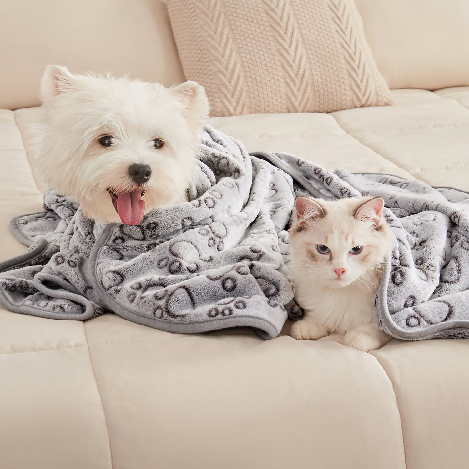 1 Pack 3 Small Pet Blanket Paw Printed Throw | Grey Paw