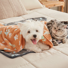 Load image into Gallery viewer, 1 Pack 3 Small Pet Blanket Paw Printed Throw | Grey