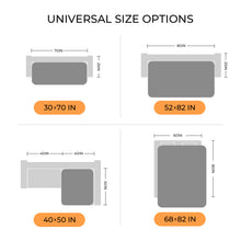 Load image into Gallery viewer, Waterproof Couch Cover Blanket for Dogs Light Grey